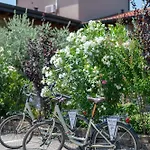 Relais Agli Olivi 3*