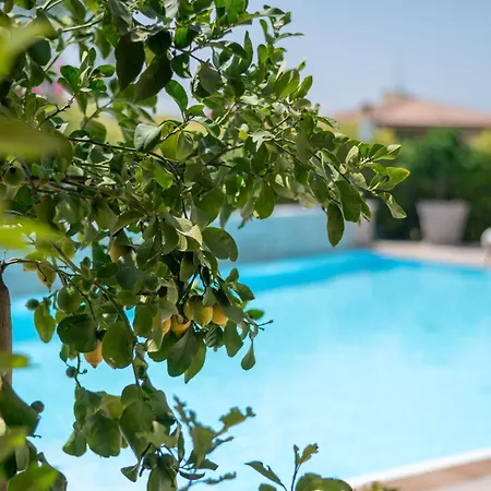 מלון Relais Agli Olivi לאזיסה